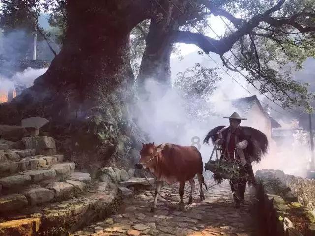 为什么有人显老,有人显年轻?